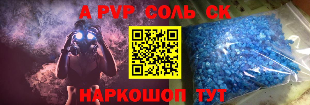 Альфа ПВП СК Мурманск